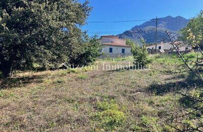 terrain  pièces 1105 m2 à vendre à Calenzana (20214)