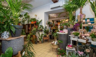 Commerce 4 Pièces 120 m² à vendre à Montalieu-Vercieu (38390)