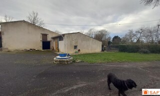 Photo N° 4
