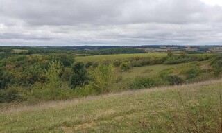Photo N° 3