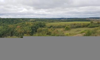 Photo N° 4