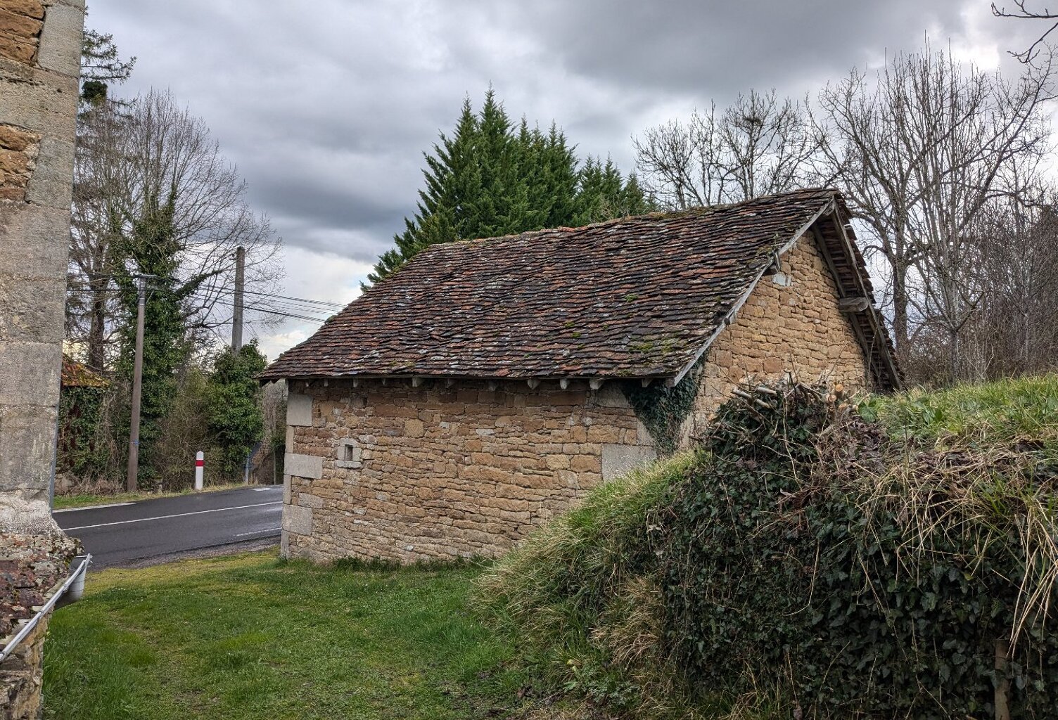 Terrain — photo 1