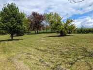 Terrain — photo 3