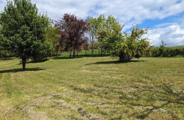 Terrain — photo 3
