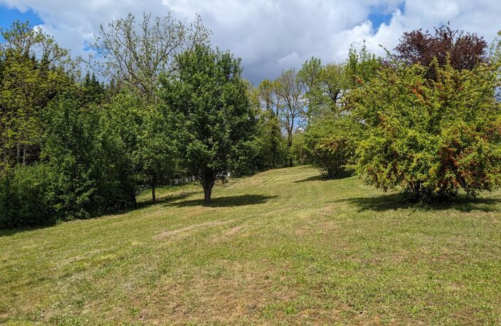 Terrain — photo 5