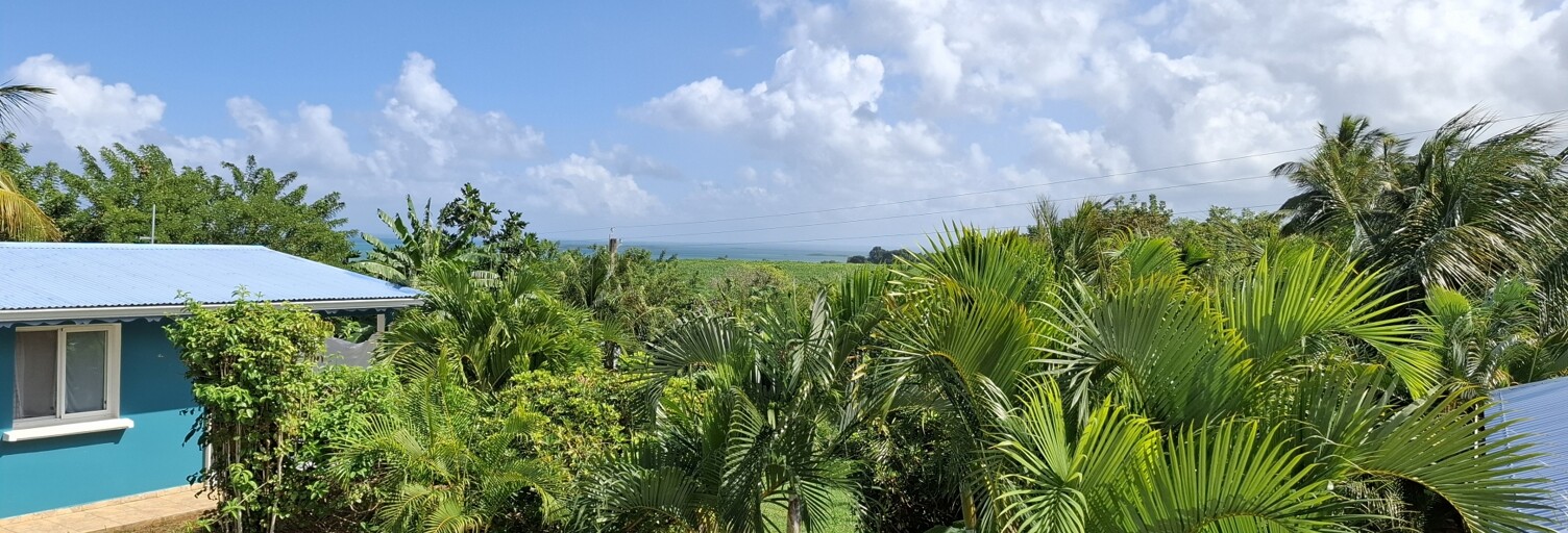 Maison 9 Pièces 175 m² à vendre à Sainte-Rose (97115)