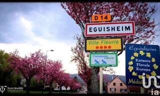 Maison 7 Pièces 190 m² à vendre à Eguisheim (68420)