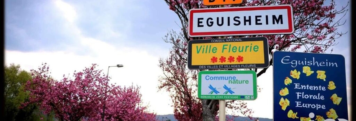 Maison 7 Pièces 190 m² à vendre à Eguisheim (68420)