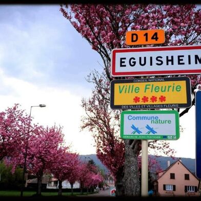 Maison 7 pièces 370000 €