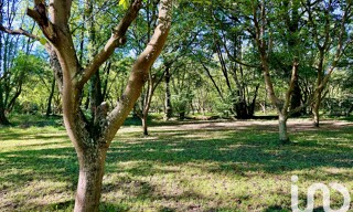 Photo N° 6
