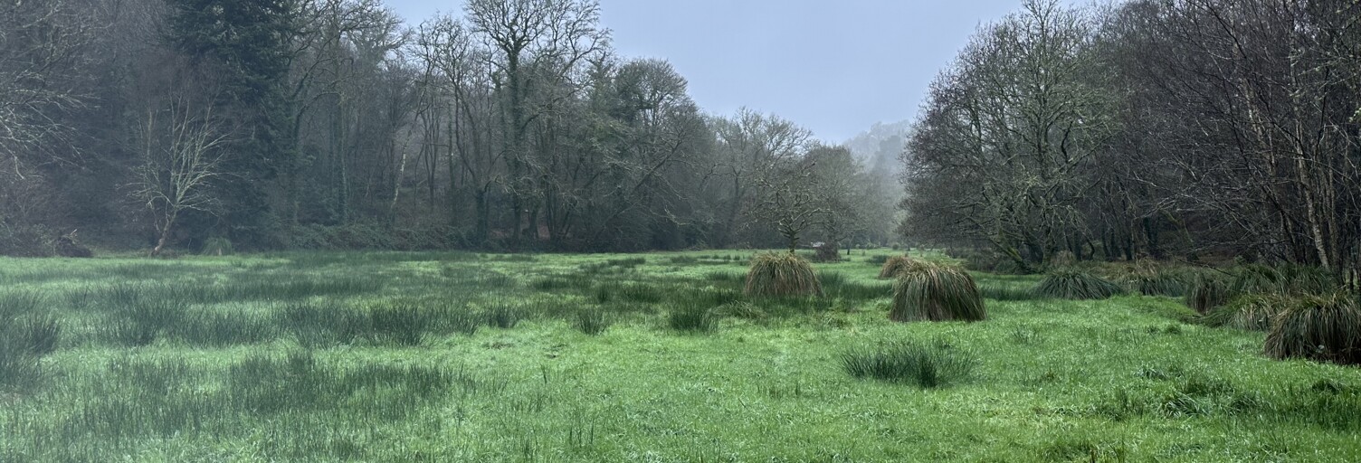 Terrain  7138 m² à vendre à Quimper (29000)