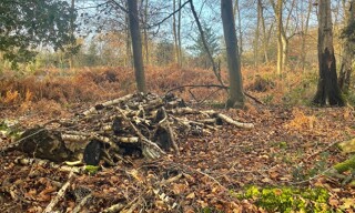 Photo N° 4