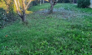 Photo N° 18