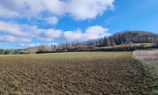 Terrain  11142 m² à vendre à Auterive (32550)