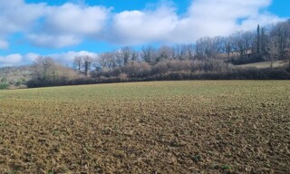 Photo N° 3