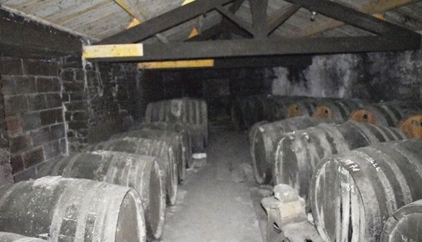 Villa / Maison 3 pièces  à vendre Saint-Pierre-d'Oléron 17310