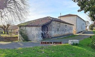 Photo N° 4