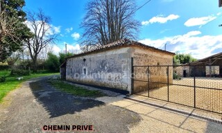Photo N° 13