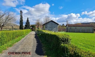 Photo N° 14