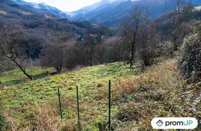 terrain  pièces 20000 m2 à vendre à Uchentein (09800)