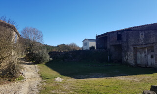 Photo N° 8