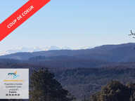 DE TERRAIN PRÉS ET FORETS + 320 M2 DE DÉPENDANCES — photo 3