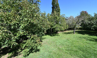Photo N° 4