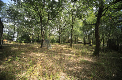 terrain  pièces 10600 m2 à vendre à Auterive (31190)