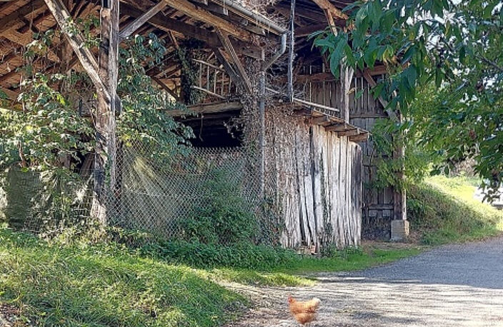 MAISON DE VILLAGE  149m2 ET SON HANGAR DURBAN-SUR-ARIZE. — photo 3