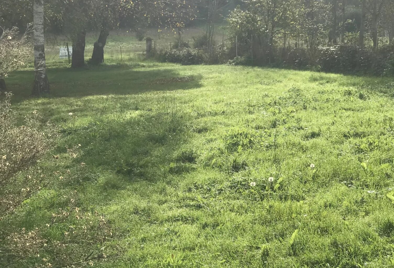 TERRAIN CONSTRUCTIBLE — photo 1