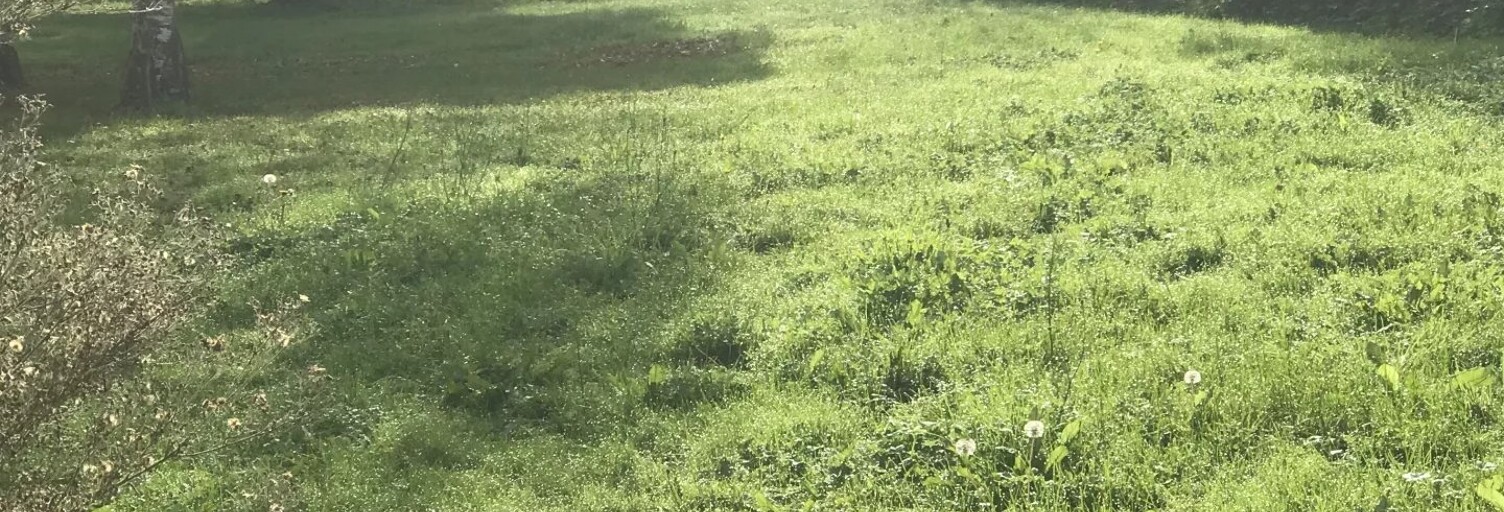 Terrain  1197 m² à vendre à Ardiège (31210)