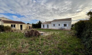 Photo N° 6
