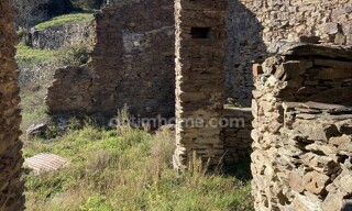 Photo N° 6