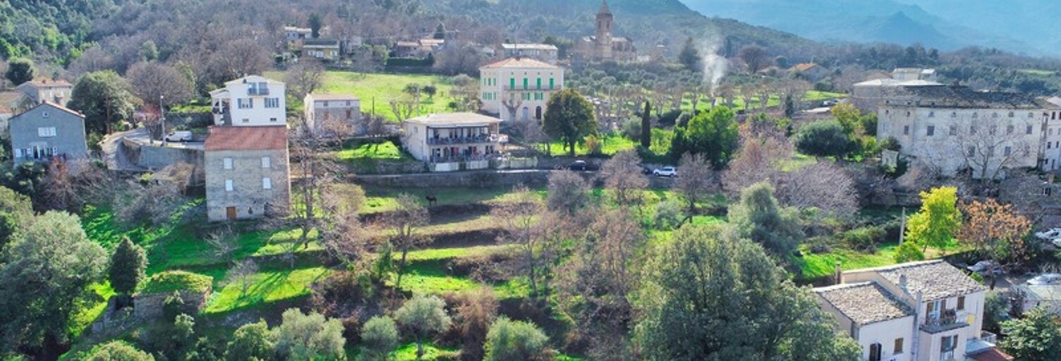 Terrain  1984 m² à vendre à Rapale (20246)