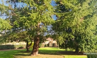 Photo N° 5