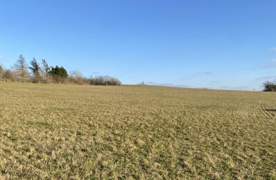 terrain 1000 m2 à construire à Villefranche-de-Lauragais (31290)