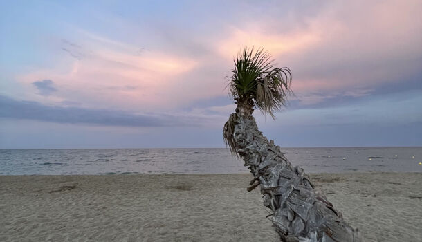 Villa / Maison 3 pièces  à louer Barcarès (Le) 66420