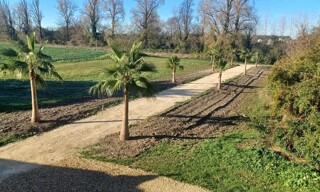 Photo N° 3