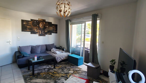 Appartement 3 pièces  à vendre Montpellier 34090
