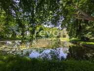 Etang — photo 2