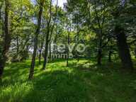 Etang — photo 4