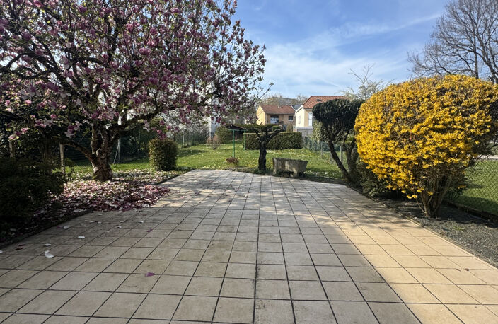 LIMOGES Ruchoux / Albert Thomas  vaste Maison avec jardin et — photo 4