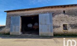 Photo N° 6