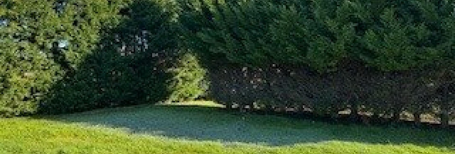 Terrain  988 m² à vendre à Loupes (33370)