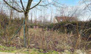Photo N° 3
