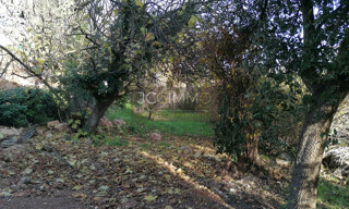 Photo N° 5