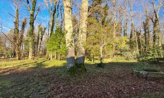 Photo N° 4