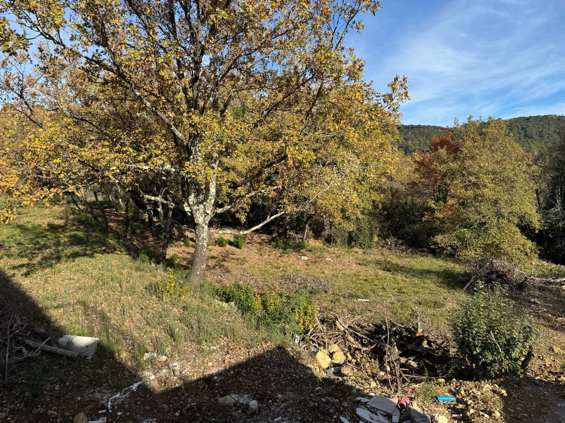 Terrain  à vendre Besse-sur-Issole 83890