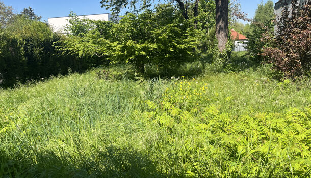 Terrain  à vendre Gueux 51390