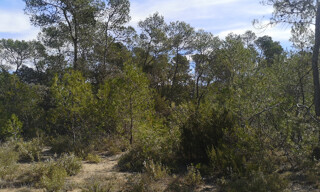 Photo N° 4